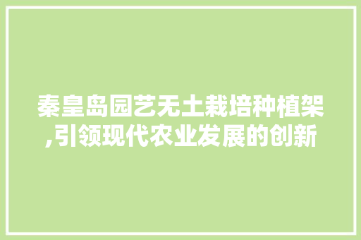 秦皇岛园艺无土栽培种植架,引领现代农业发展的创新力量