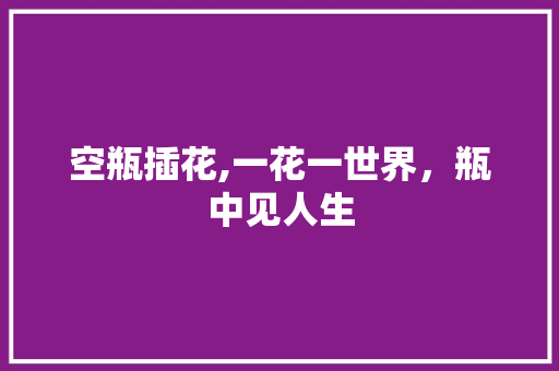 空瓶插花,一花一世界，瓶中见人生