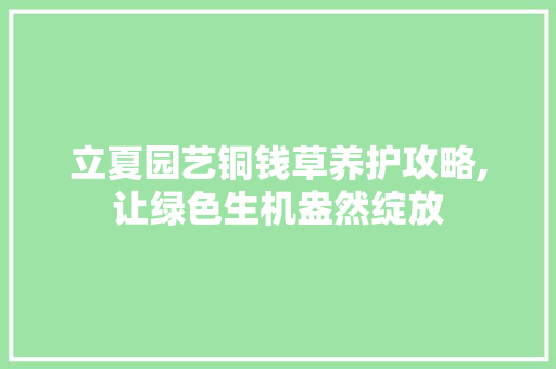 立夏园艺铜钱草养护攻略,让绿色生机盎然绽放
