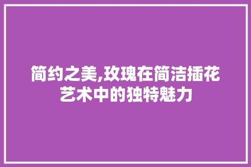 简约之美,玫瑰在简洁插花艺术中的独特魅力