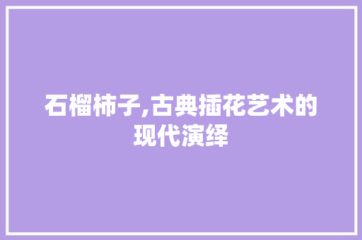石榴柿子,古典插花艺术的现代演绎