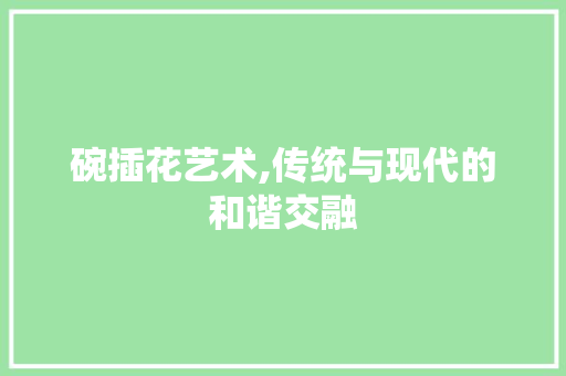 碗插花艺术,传统与现代的和谐交融
