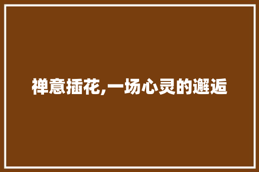 禅意插花,一场心灵的邂逅