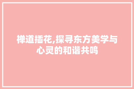 禅道插花,探寻东方美学与心灵的和谐共鸣