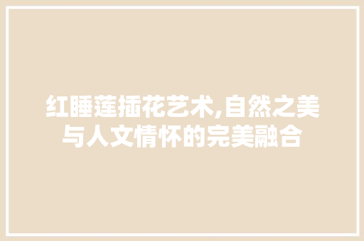 红睡莲插花艺术,自然之美与人文情怀的完美融合