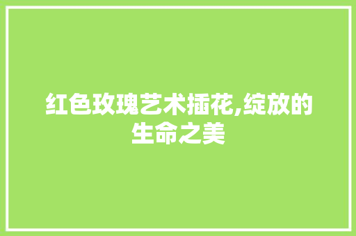 红色玫瑰艺术插花,绽放的生命之美