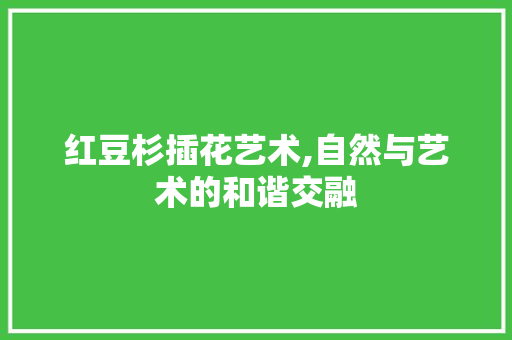 红豆杉插花艺术,自然与艺术的和谐交融
