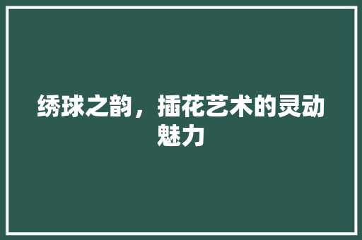 绣球之韵，插花艺术的灵动魅力
