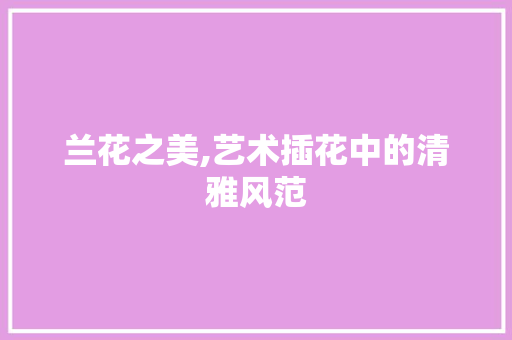兰花之美,艺术插花中的清雅风范