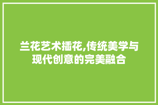 兰花艺术插花,传统美学与现代创意的完美融合