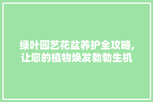 绿叶园艺花盆养护全攻略,让您的植物焕发勃勃生机