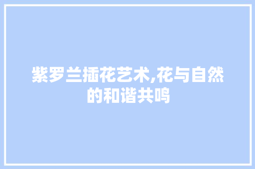紫罗兰插花艺术,花与自然的和谐共鸣