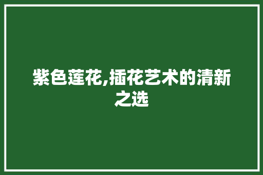 紫色莲花,插花艺术的清新之选