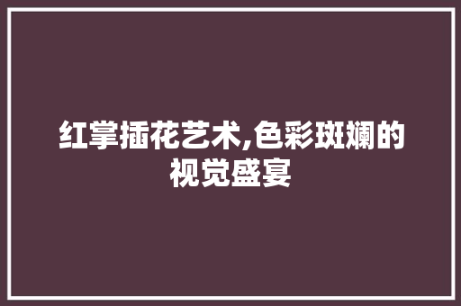 红掌插花艺术,色彩斑斓的视觉盛宴