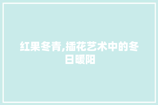 红果冬青,插花艺术中的冬日暖阳