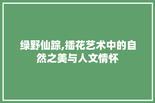绿野仙踪,插花艺术中的自然之美与人文情怀