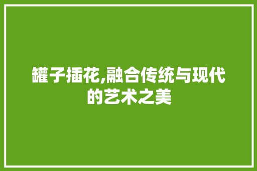 罐子插花,融合传统与现代的艺术之美