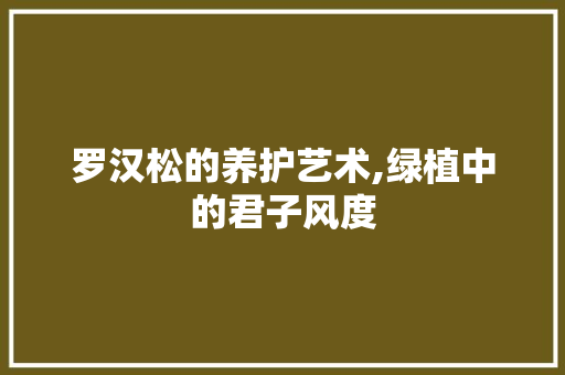 罗汉松的养护艺术,绿植中的君子风度