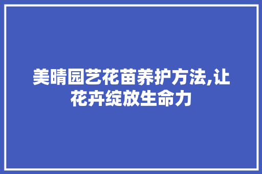 美晴园艺花苗养护方法,让花卉绽放生命力