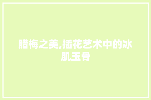 腊梅之美,插花艺术中的冰肌玉骨