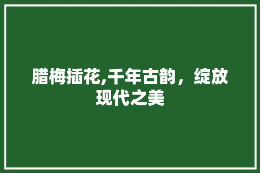 腊梅插花,千年古韵，绽放现代之美