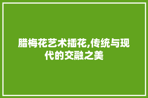 腊梅花艺术插花,传统与现代的交融之美