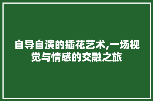 自导自演的插花艺术,一场视觉与情感的交融之旅