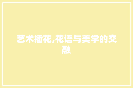 艺术插花,花语与美学的交融