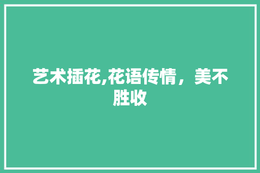 艺术插花,花语传情，美不胜收