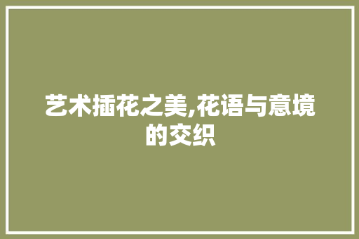 艺术插花之美,花语与意境的交织