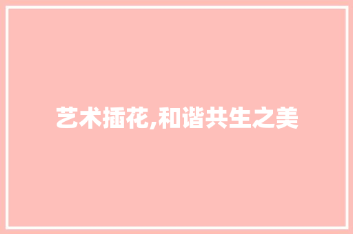 艺术插花,和谐共生之美