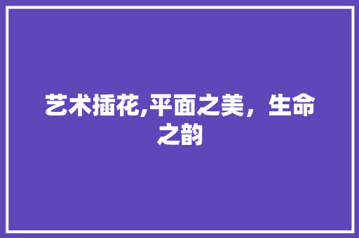 艺术插花,平面之美，生命之韵