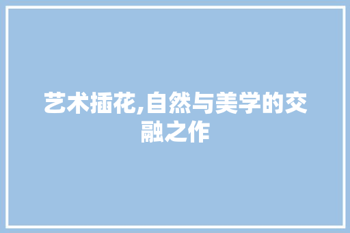 艺术插花,自然与美学的交融之作