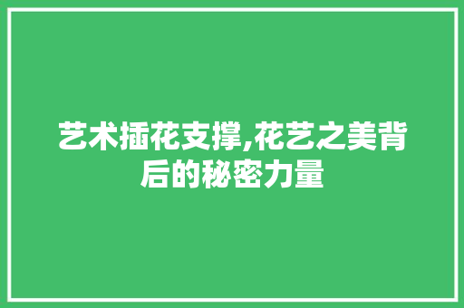 艺术插花支撑,花艺之美背后的秘密力量