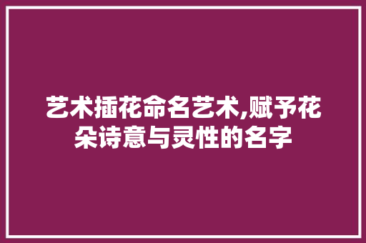 艺术插花命名艺术,赋予花朵诗意与灵性的名字