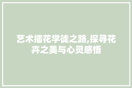 艺术插花学徒之路,探寻花卉之美与心灵感悟