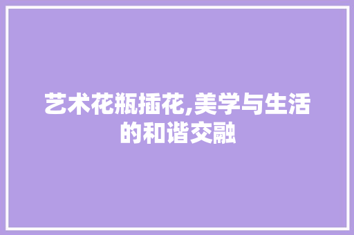 艺术花瓶插花,美学与生活的和谐交融