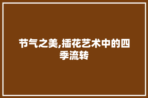 节气之美,插花艺术中的四季流转