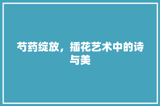 芍药绽放，插花艺术中的诗与美