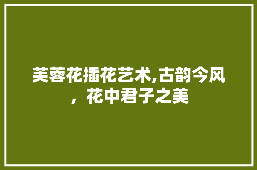芙蓉花插花艺术,古韵今风，花中君子之美