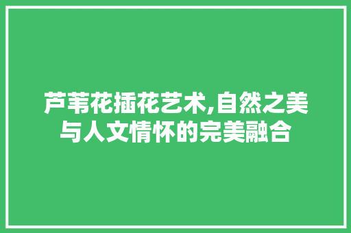 芦苇花插花艺术,自然之美与人文情怀的完美融合