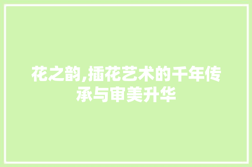 花之韵,插花艺术的千年传承与审美升华