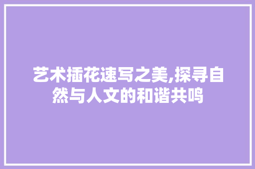 艺术插花速写之美,探寻自然与人文的和谐共鸣