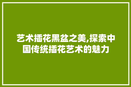 艺术插花黑盆之美,探索中国传统插花艺术的魅力