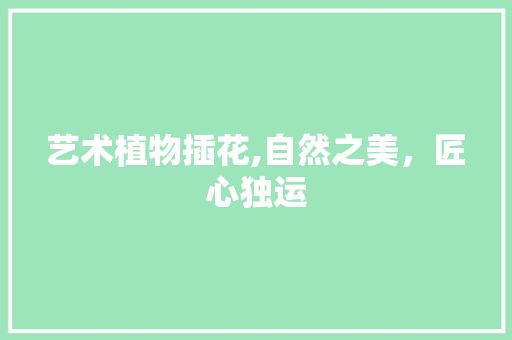 艺术植物插花,自然之美，匠心独运