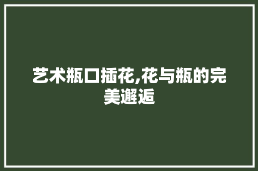 艺术瓶口插花,花与瓶的完美邂逅