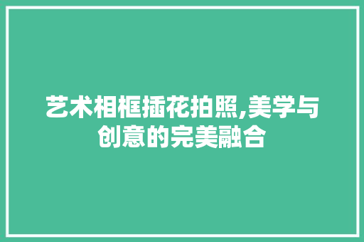 艺术相框插花拍照,美学与创意的完美融合