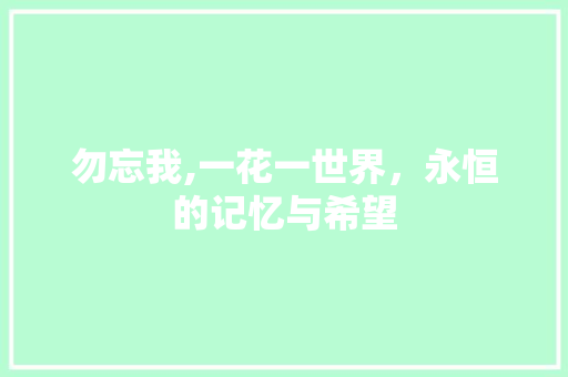 勿忘我,一花一世界，永恒的记忆与希望
