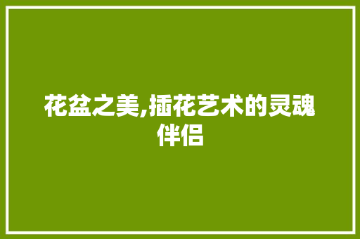 花盆之美,插花艺术的灵魂伴侣