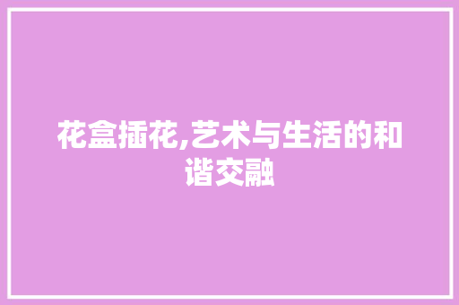 花盒插花,艺术与生活的和谐交融